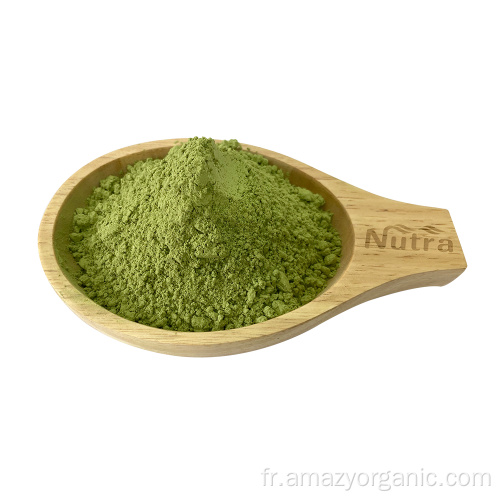 Grade de boisson Natural Instant Kiwi Juice Powder